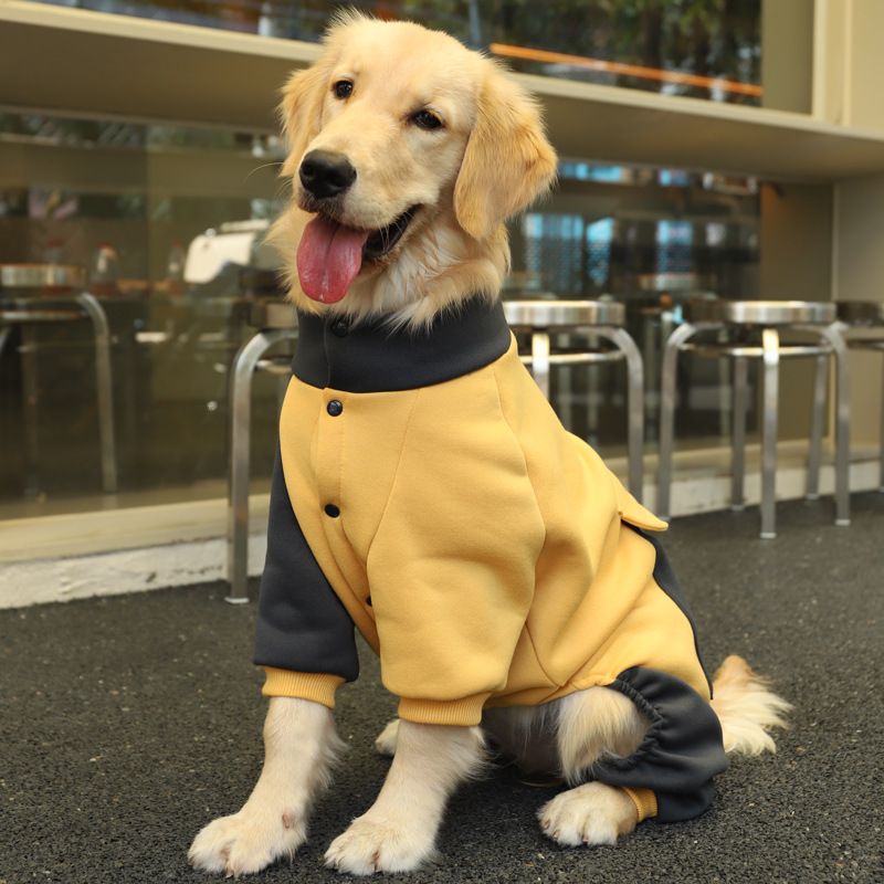 Stor Pet Dog Coat